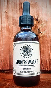 Lion's Mane Tincture 2oz